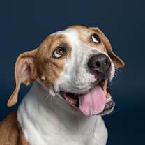 Thumbnail photo of Minnie #2