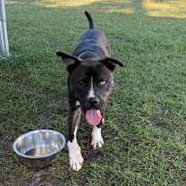 Thumbnail photo of Dr Pepper #2