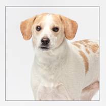 Thumbnail photo of Coley #2