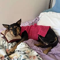 Thumbnail photo of Dianna Brackyn #1