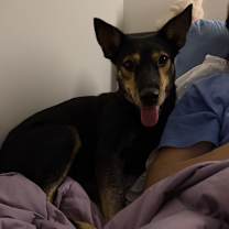 Thumbnail photo of Dianna Brackyn #4