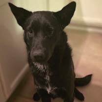 Thumbnail photo of Missy #3