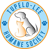 Thumbnail photo of Poppi - 111902T-2 #2