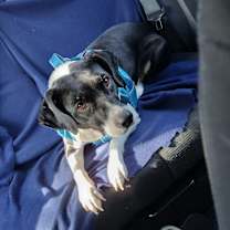 Thumbnail photo of Sasha #3