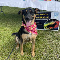 Thumbnail photo of Korina #2