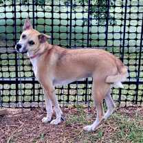 Thumbnail photo of LOUISE #2