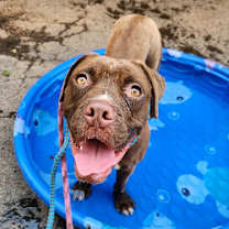 Thumbnail photo of Bagels #3