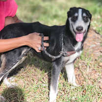 Thumbnail photo of Alex #2