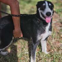 Thumbnail photo of Alex #3