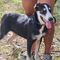 Thumbnail photo of Alex #4