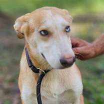 Thumbnail photo of Ava #4