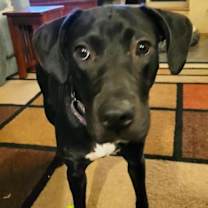 Thumbnail photo of Nina #2