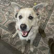 Thumbnail photo of GRANDPA #2