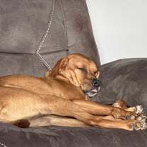 Thumbnail photo of Sleepy (PA) FUN! #2