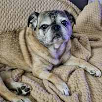 Thumbnail photo of Wendell #1