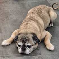 Thumbnail photo of Wendell #3