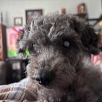 Thumbnail photo of Marty (PA) Sweet! #1