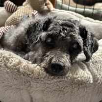 Thumbnail photo of Marty (PA) Sweet! #3