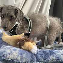 Thumbnail photo of Marty (PA) Sweet! #3