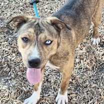 Thumbnail photo of CANDY #2