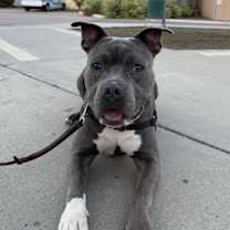 Thumbnail photo of Diamond #2