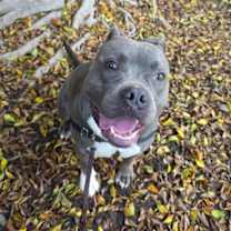 Thumbnail photo of Diamond #3