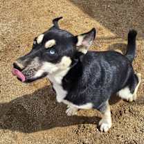 Thumbnail photo of Daville #2