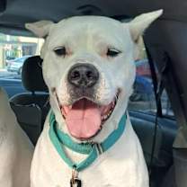 Thumbnail photo of Elsa #1