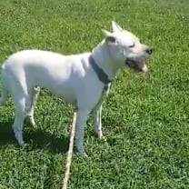 Thumbnail photo of Elsa #4