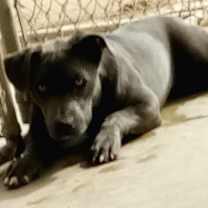 Thumbnail photo of Matilda #1