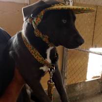 Thumbnail photo of Matilda #2