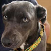 Thumbnail photo of Matilda #3