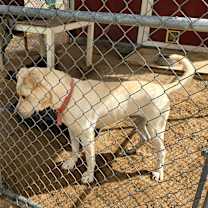 Thumbnail photo of Ranger #2