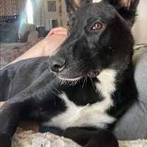 Thumbnail photo of Riley #1