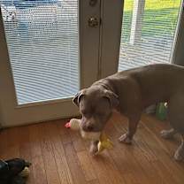 Thumbnail photo of Ace #3