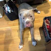 Thumbnail photo of Ace #4