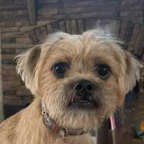 Thumbnail photo of Jagger #3