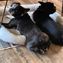 Thumbnail photo of Marco #4