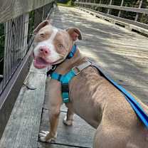 Thumbnail photo of Jacob #2