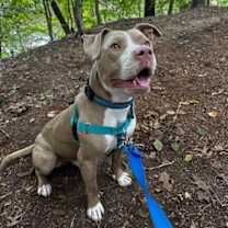 Thumbnail photo of Jacob #3