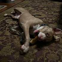 Thumbnail photo of Jacob #4