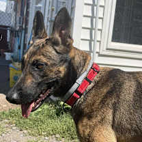 Thumbnail photo of Nellie #3