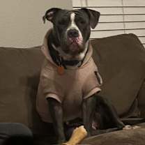 Thumbnail photo of Vida #2