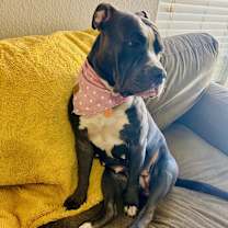 Thumbnail photo of Vida #4