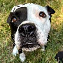 Thumbnail photo of Kayla #1