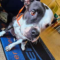 Thumbnail photo of Kayla #2