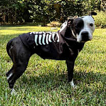 Thumbnail photo of Kayla #3