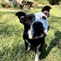 Thumbnail photo of Kayla #4