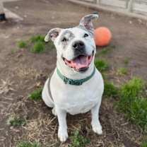 Thumbnail photo of Jaden aka Moo #1