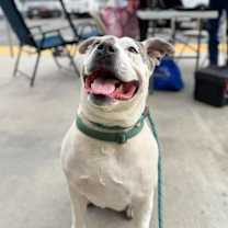 Thumbnail photo of Jaden aka Moo #2